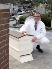bee hive
