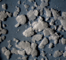 stearic-acid-crystal.gif