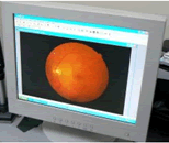 optician2.gif