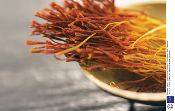 Saffron