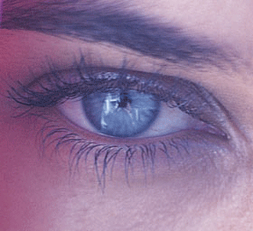 eye1.gif