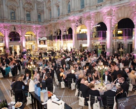 VAO Ball