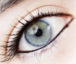 iOptik