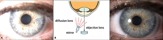 fig-3